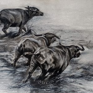 charcoal-event-popup