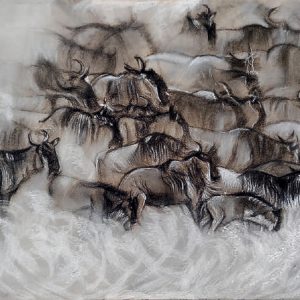 Elephant Whispers