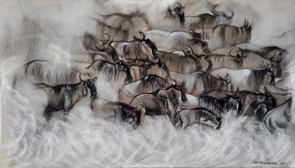 Elephant Whispers