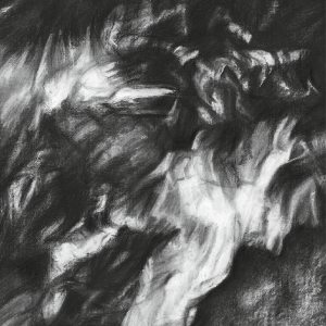 Charcoal & Gold Highlights on Linen Canvas