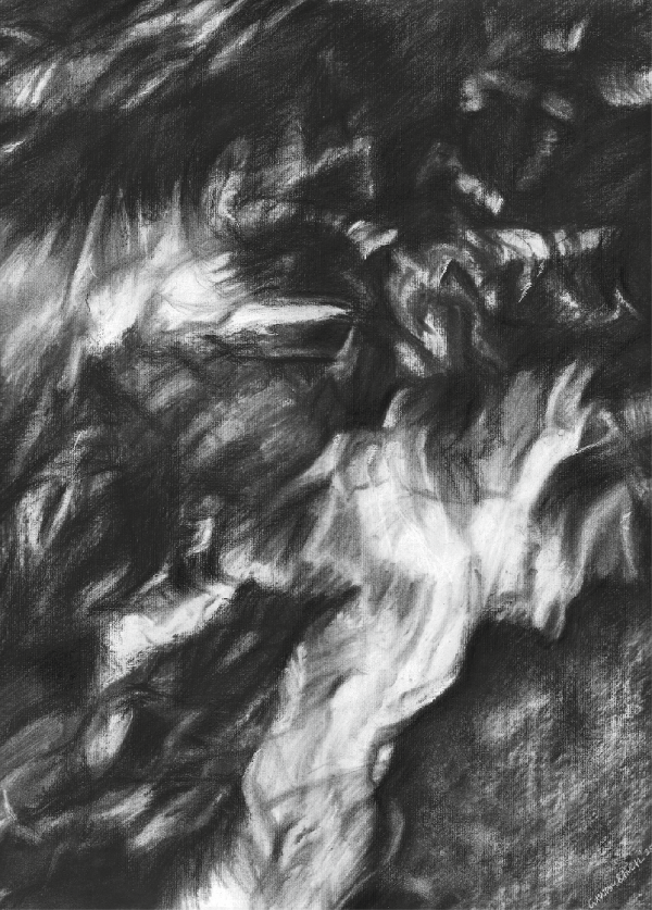 Charcoal & Gold Highlights on Linen Canvas