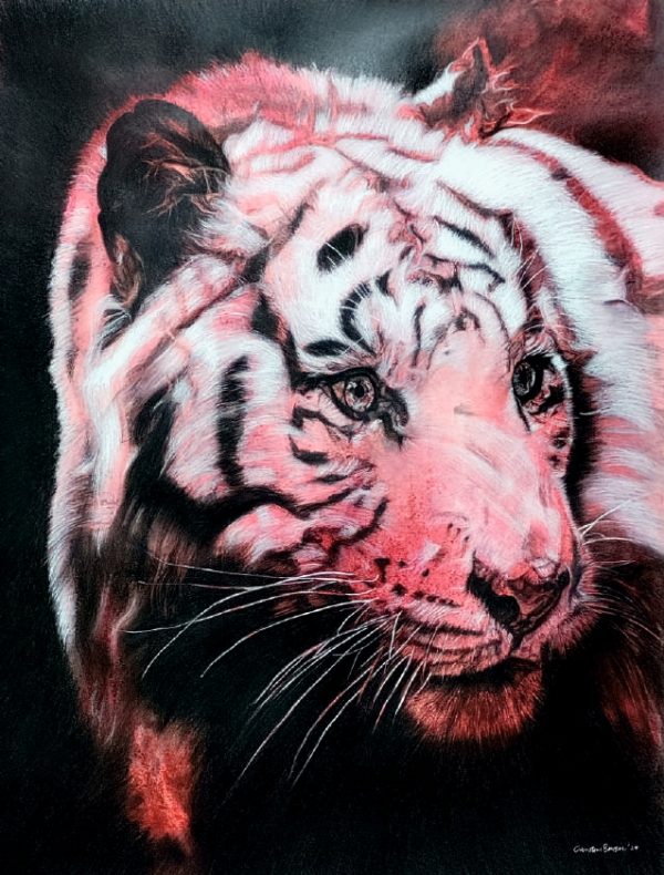 White Tiger in Red